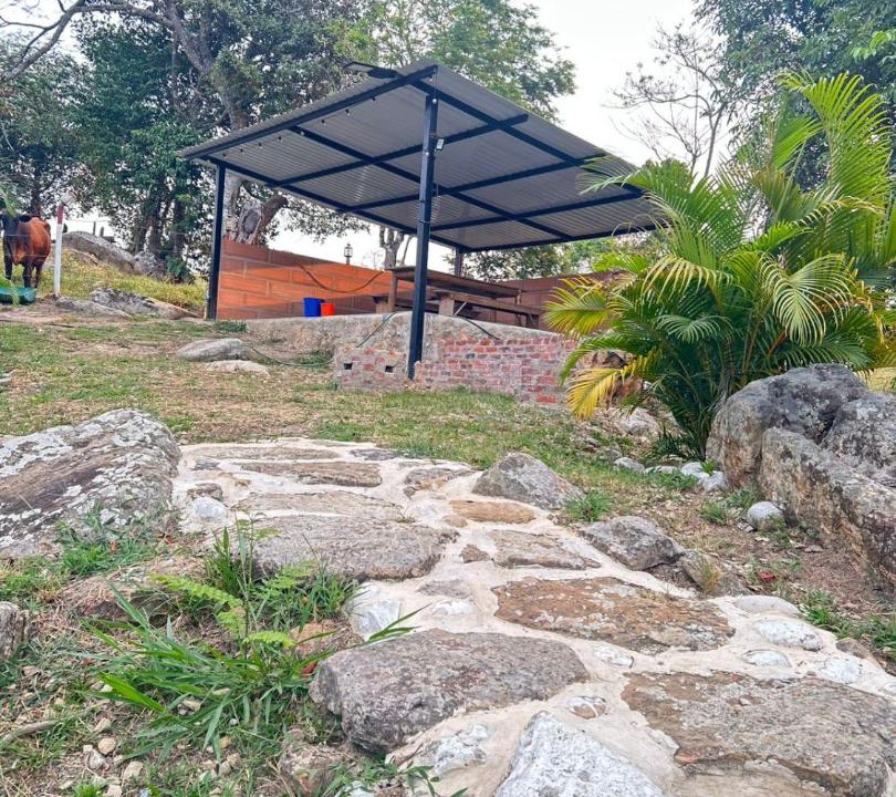 Photo of Others in Monterrey