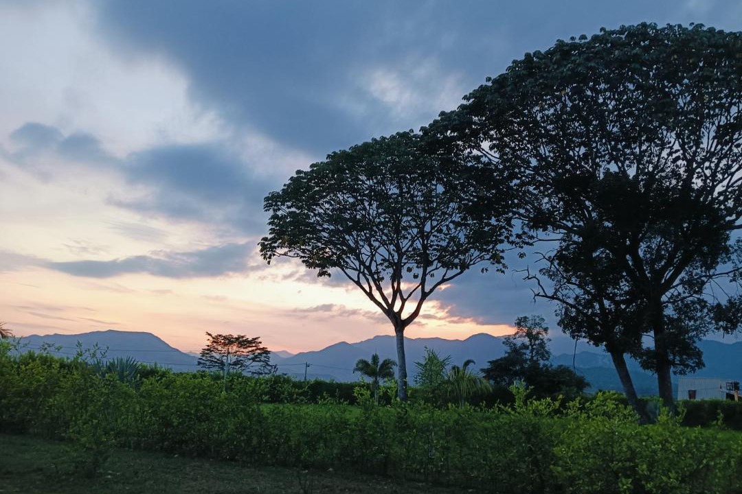 Photo of Others in Casanare