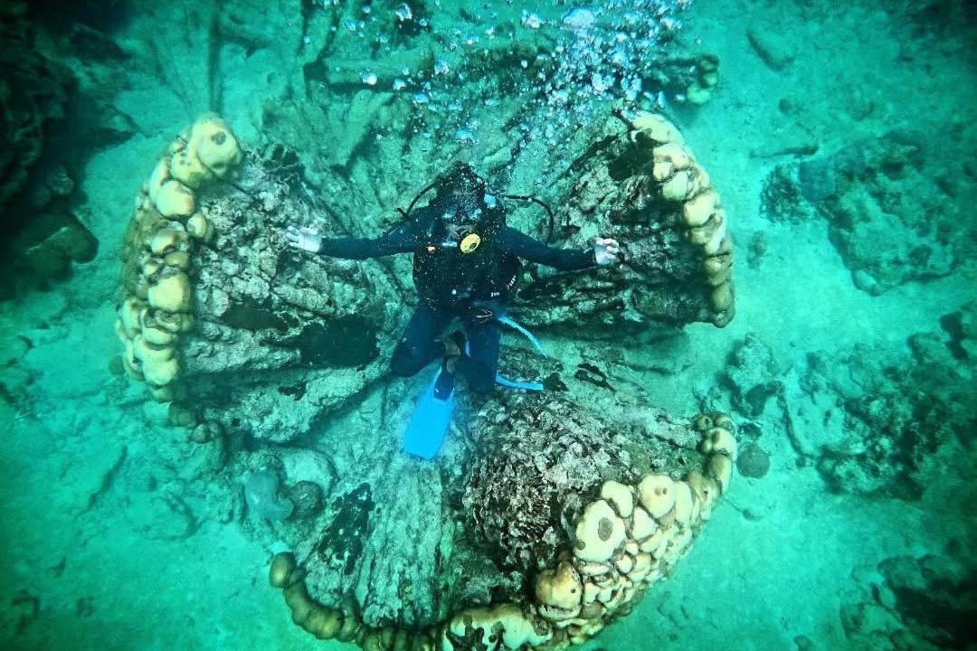 Photo of Others in Bocachica