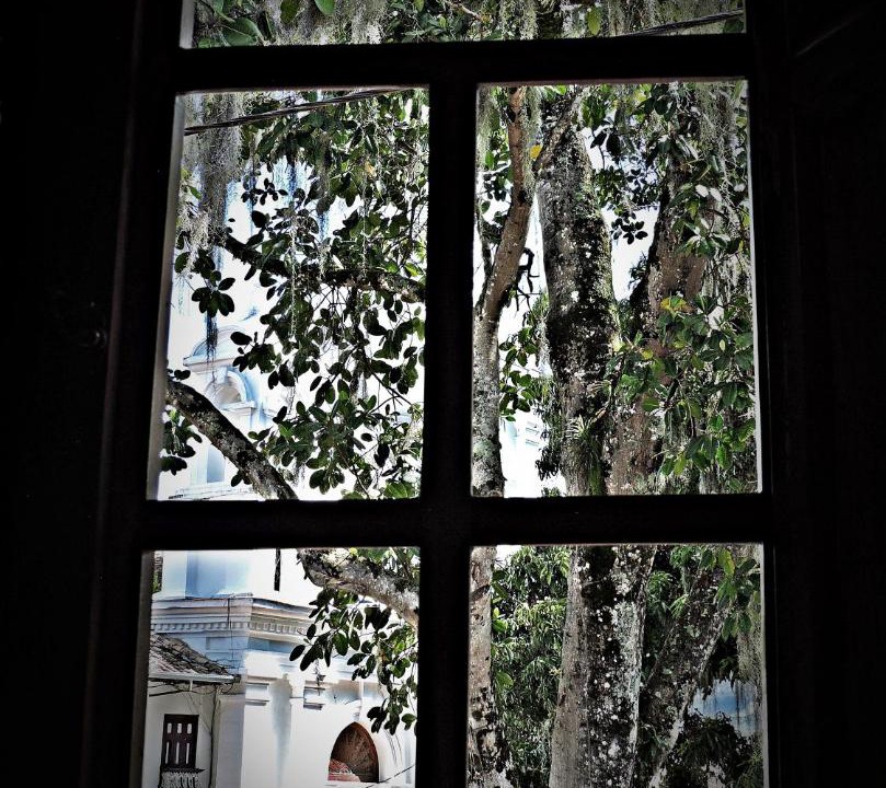 Photo of Others in Salamina