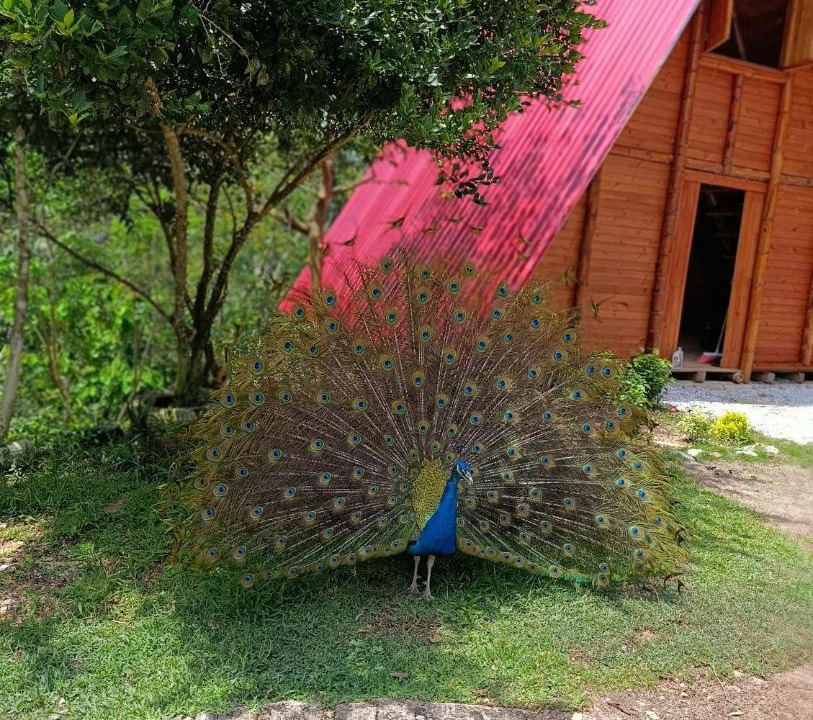 Photo of Outdoor in Puerto Triunfo