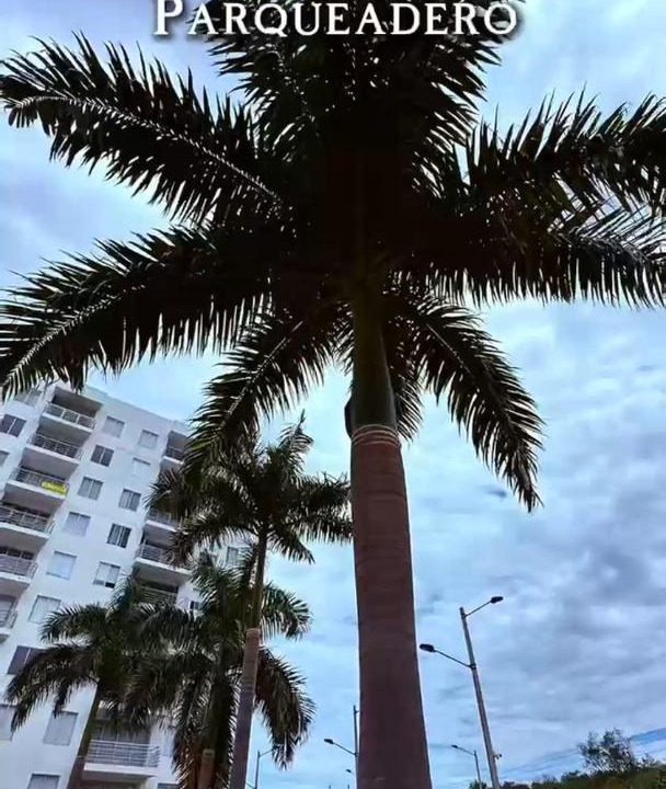 Photo of Others in Girardot