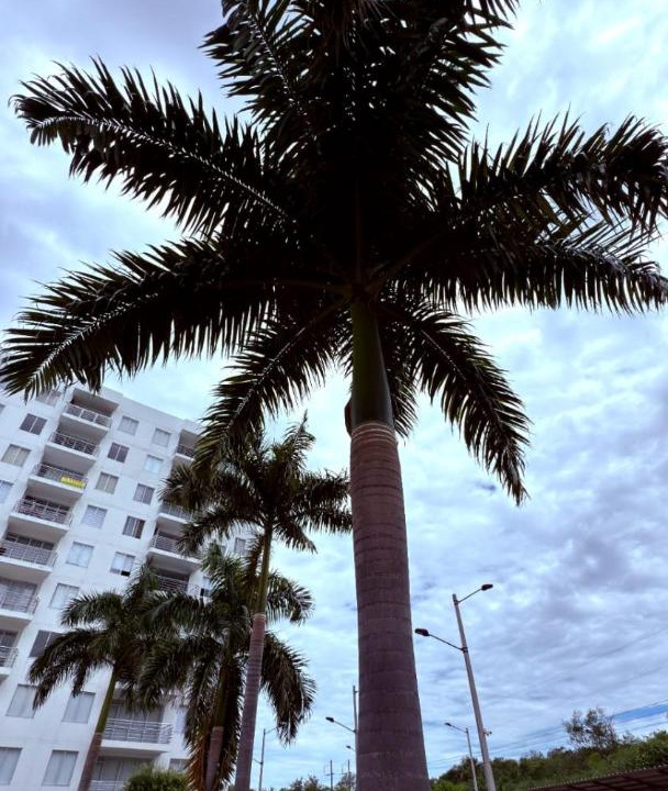 Photo of Others in Girardot