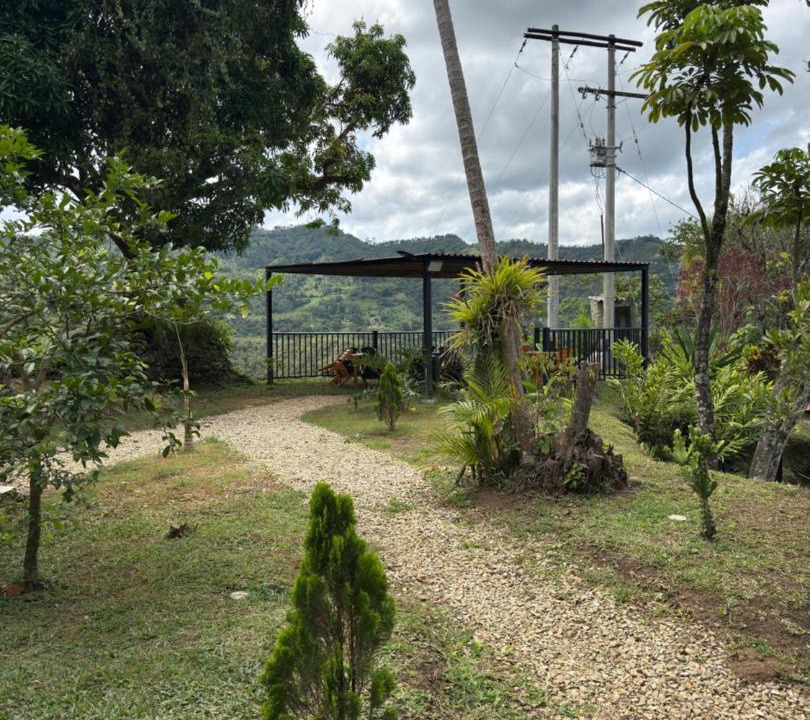 Photo of Others in La Vega