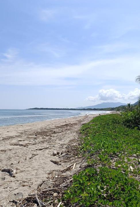 Photo of Others in Buritaca