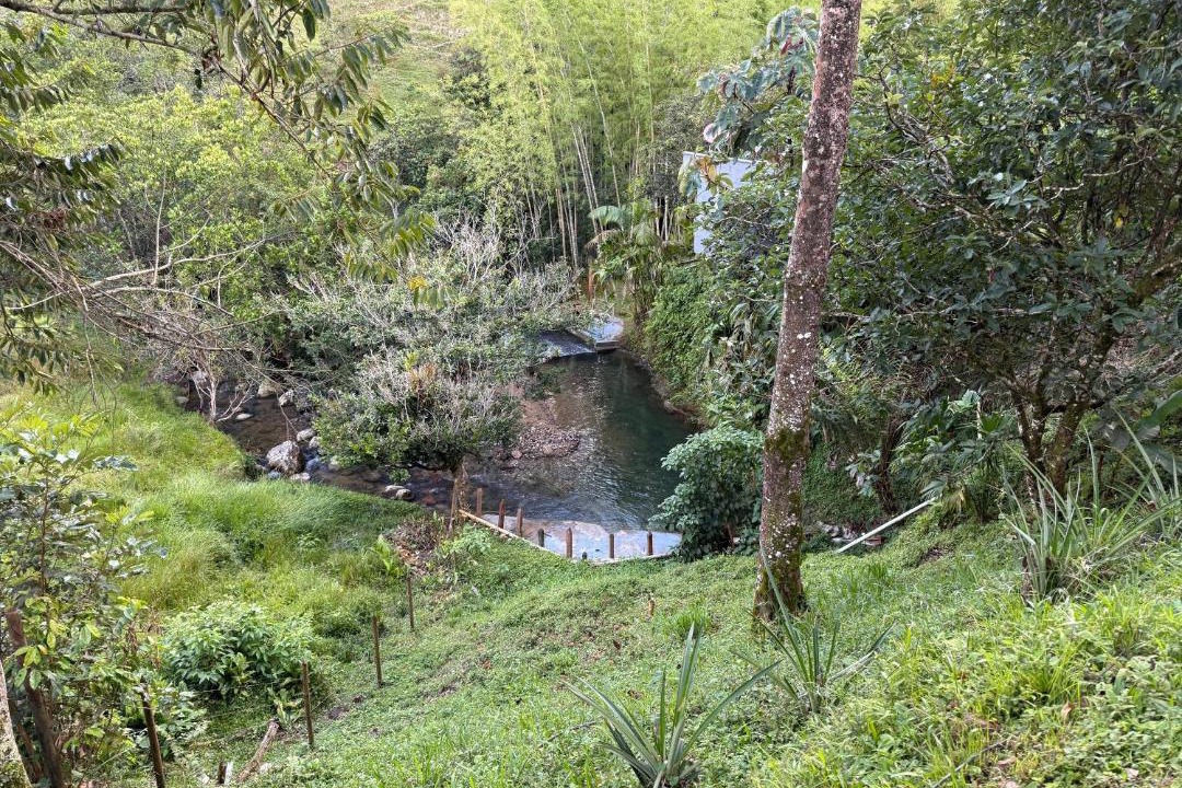 Photo of Others in San Carlos