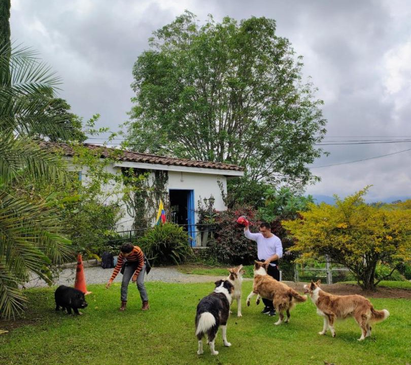 Photo of Others in La Estrella