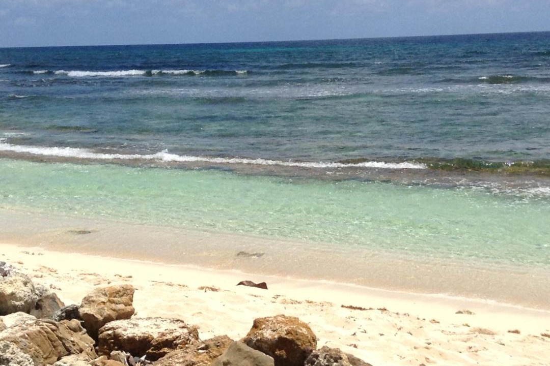Photo of Others in Punta Sur