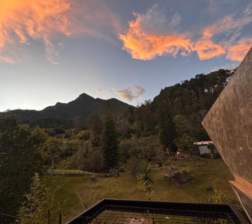 Photo of Others in Bogota