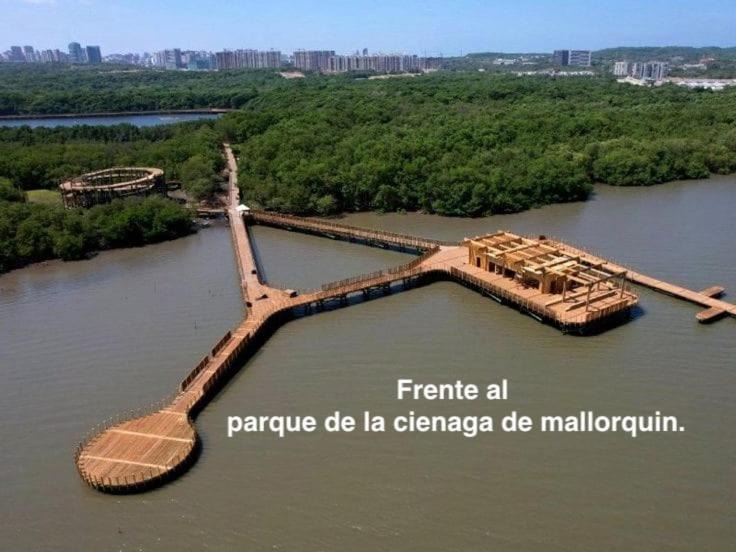 Photo of Others in Barranquilla