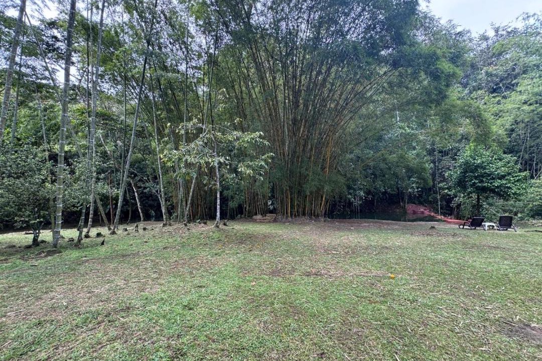 Photo of Outdoor in San Carlos