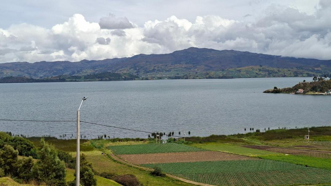 Photo of Others in Tota