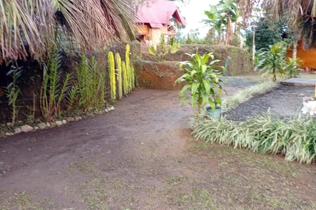 Photo of Others in Filandia