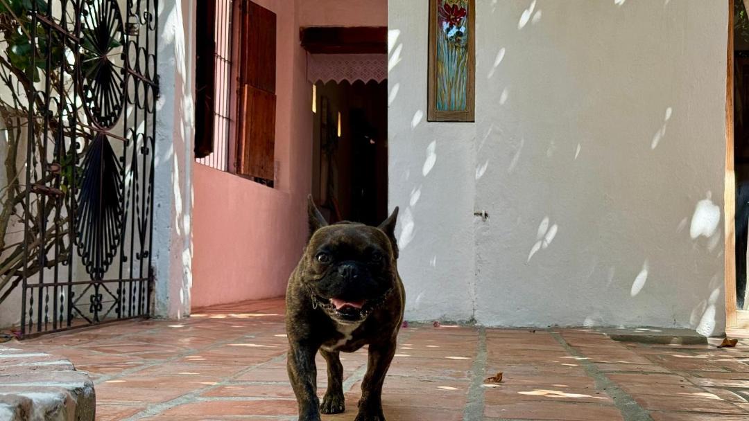 Photo of Others in Santa Cruz de Mompox