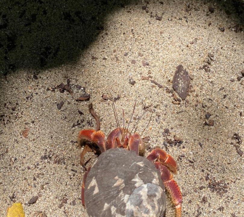 Photo of Others in Canaveral