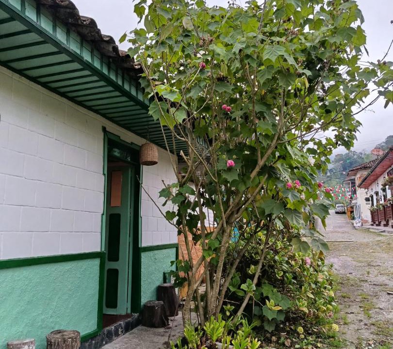 Photo of Others in Pijao