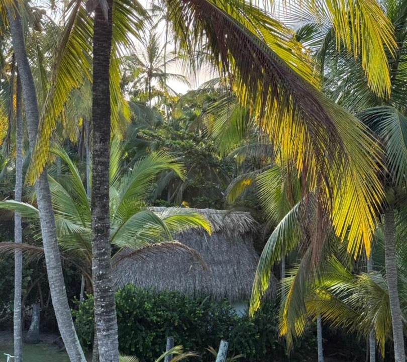 Photo of Others in Guachaca