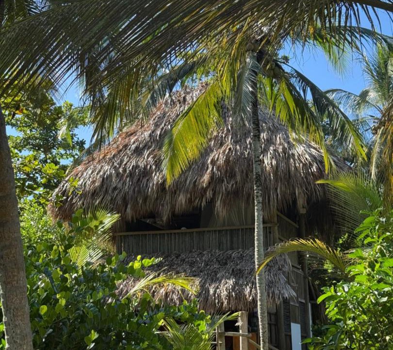 Photo of Others in Guachaca