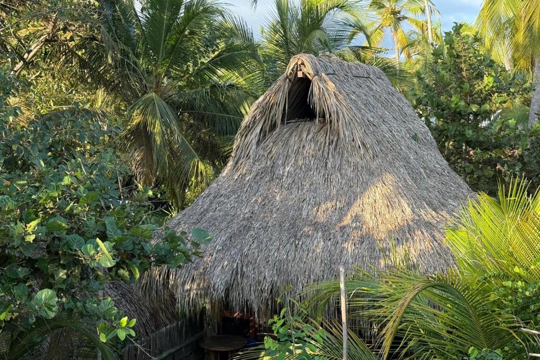Photo of Others in Guachaca