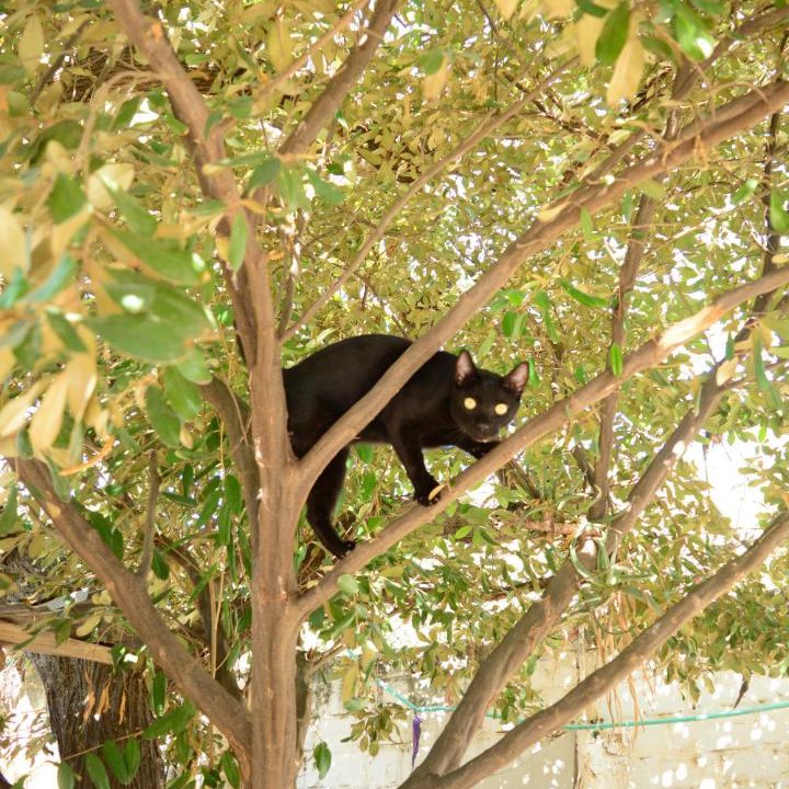 Photo of Others in Taganga