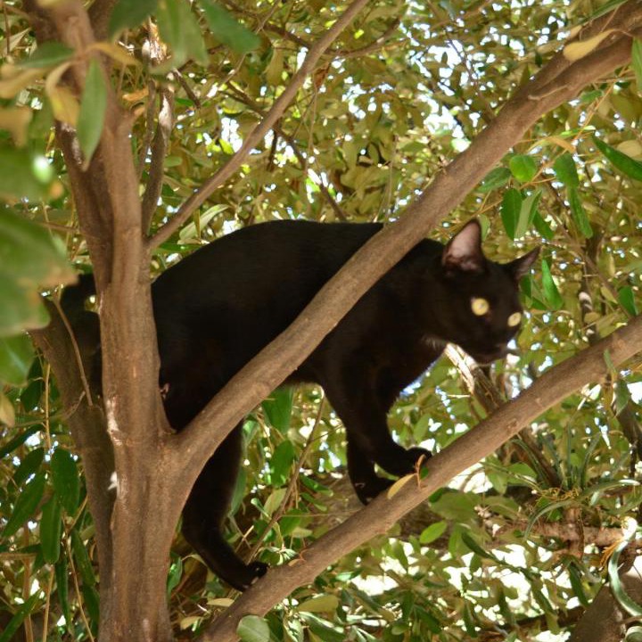 Photo of Others in Taganga