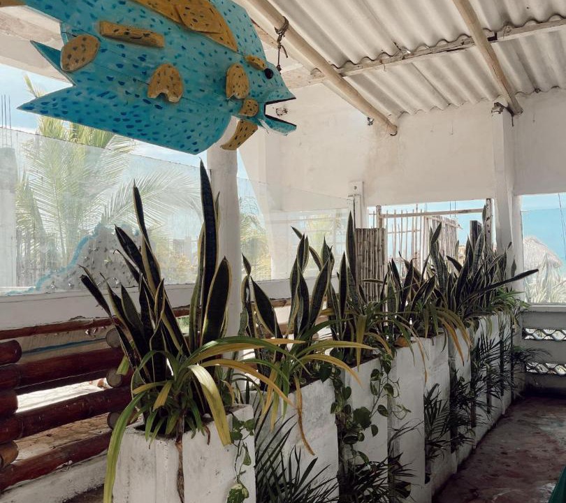 Photo of Others in La Boquilla