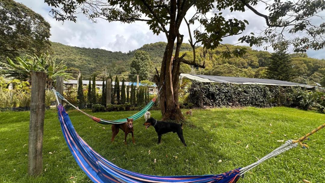 Photo of Others in El Capuli