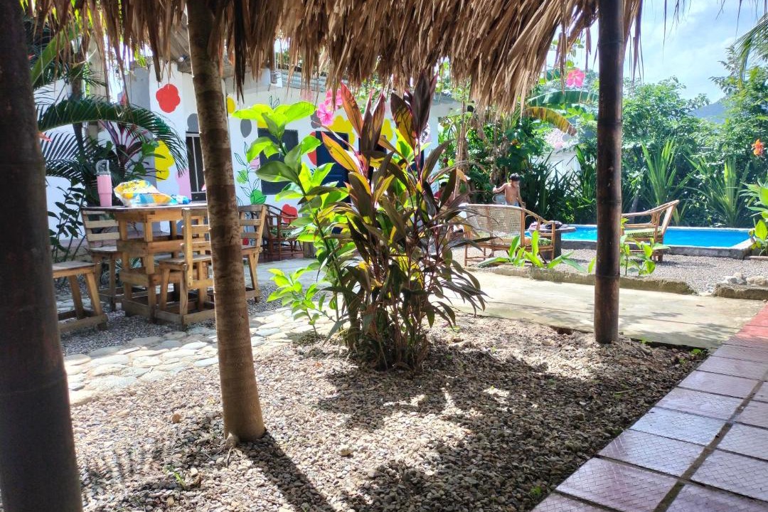 Photo of Others in Palomino