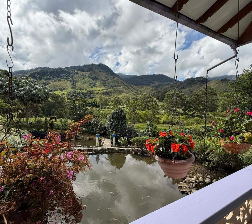 Photo of Others in Jardin