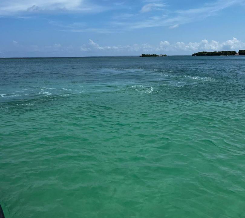 Photo of Others in Rosario Islands
