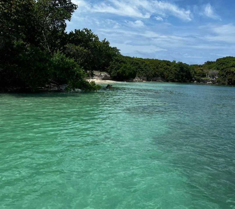 Photo of Others in Rosario Islands