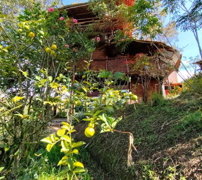 Photo of Others in Moniquira