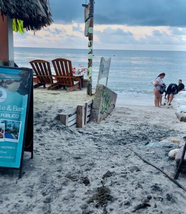 Photo of Others in Palomino