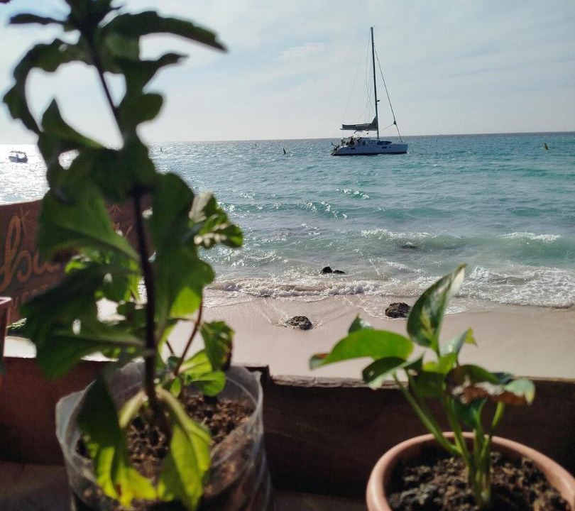 Photo of Others in Bocachica