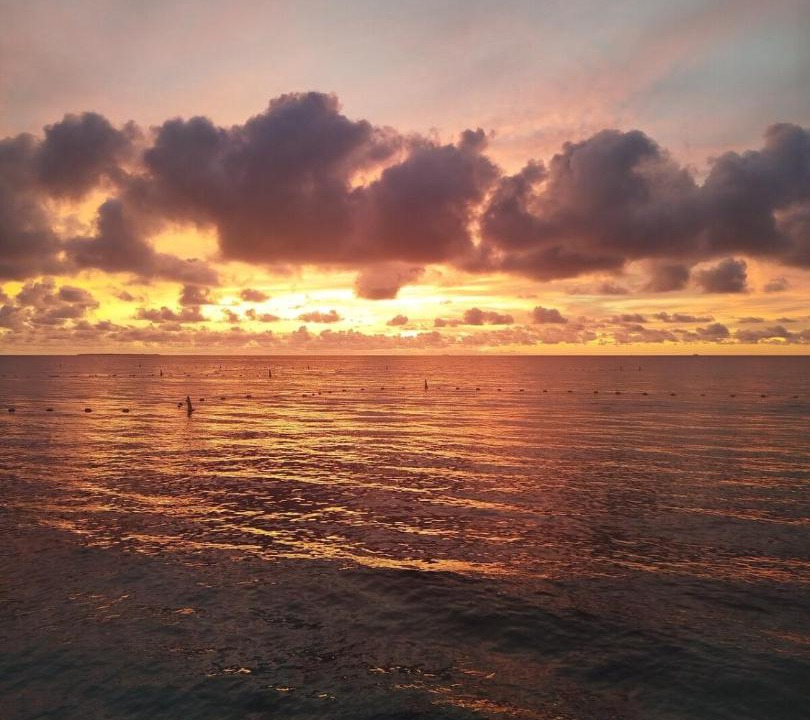 Photo of Others in Bocachica