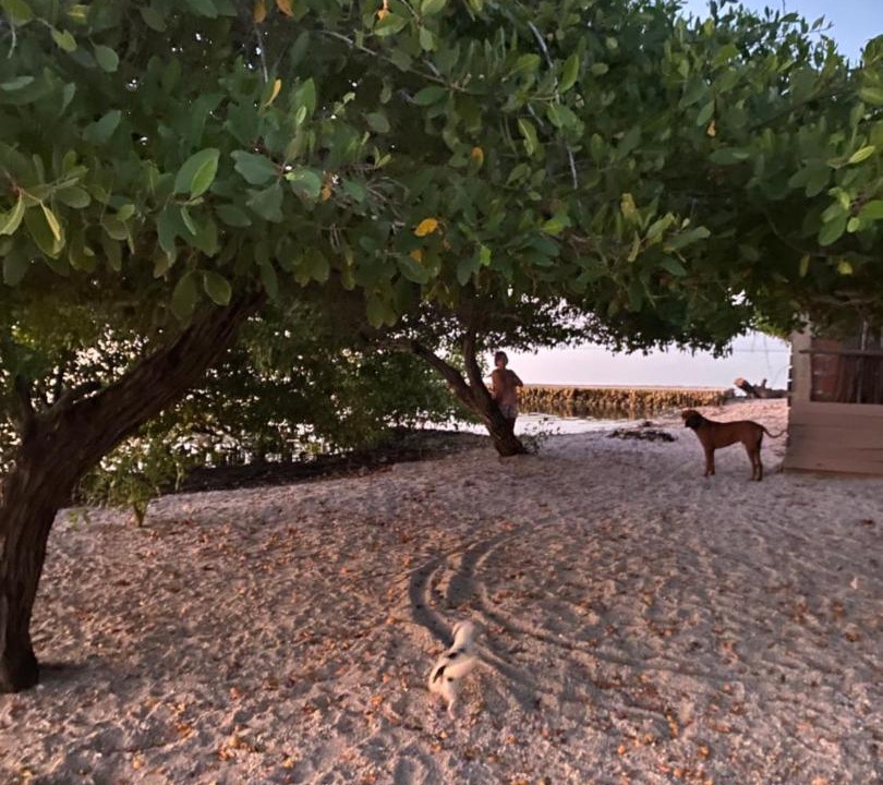 Photo of Others in Bocachica