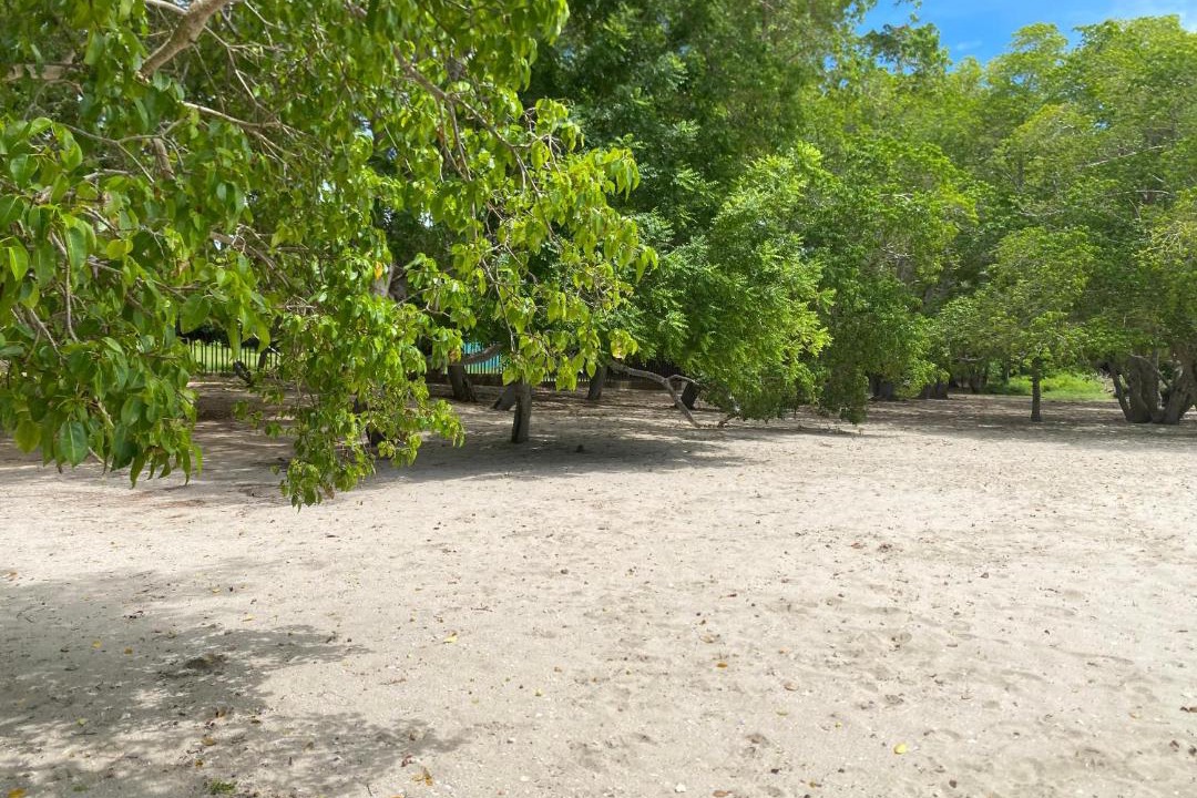 Photo of Others in Bocachica