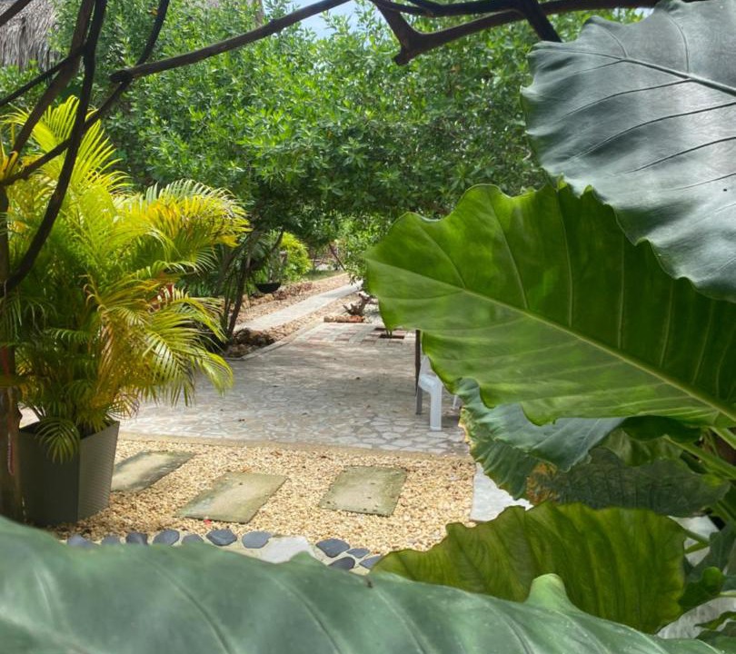 Photo of Others in Bocachica