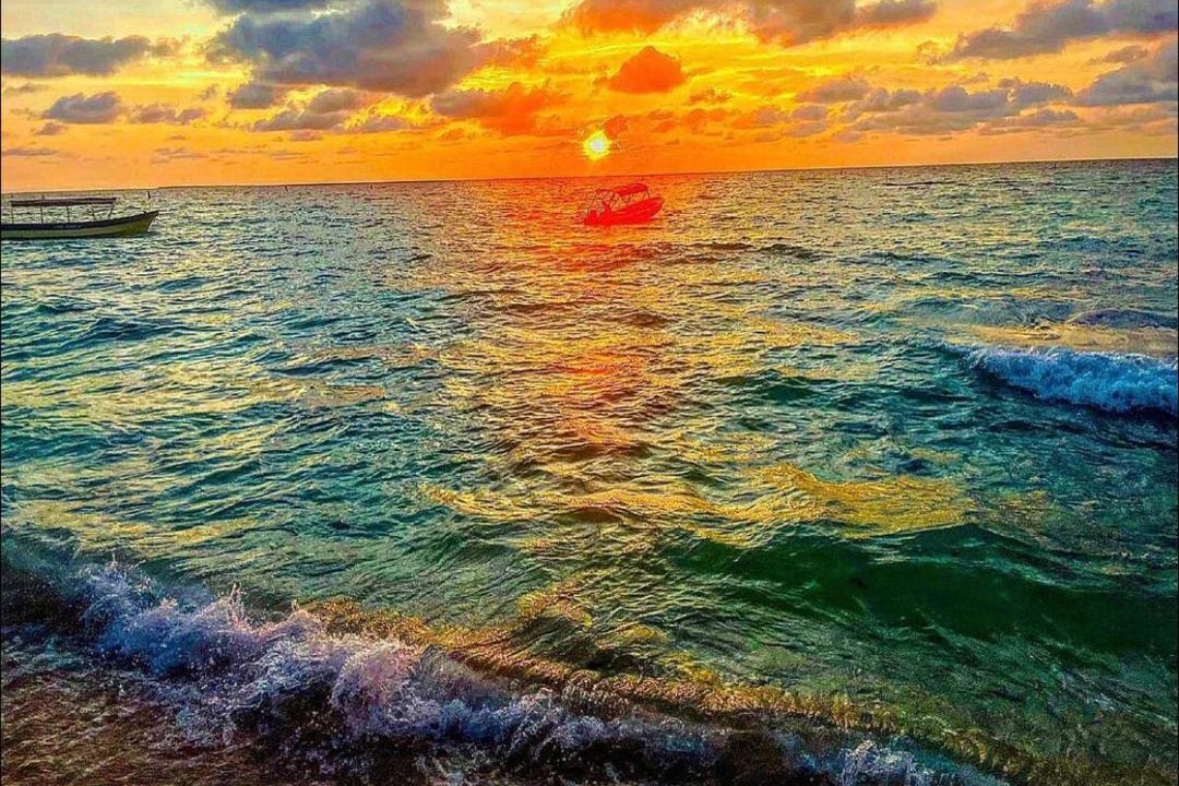Photo of Others in Bocachica