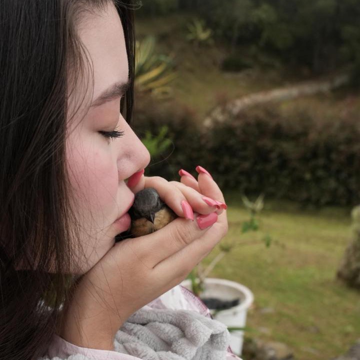 Photo of Others in Rionegro