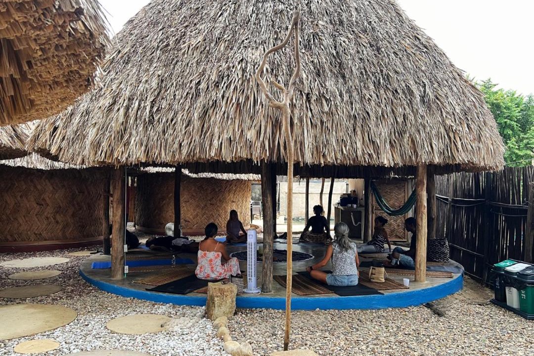Photo of Others in Palomino