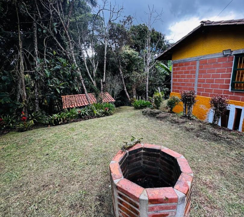 Photo of Others in Medellin
