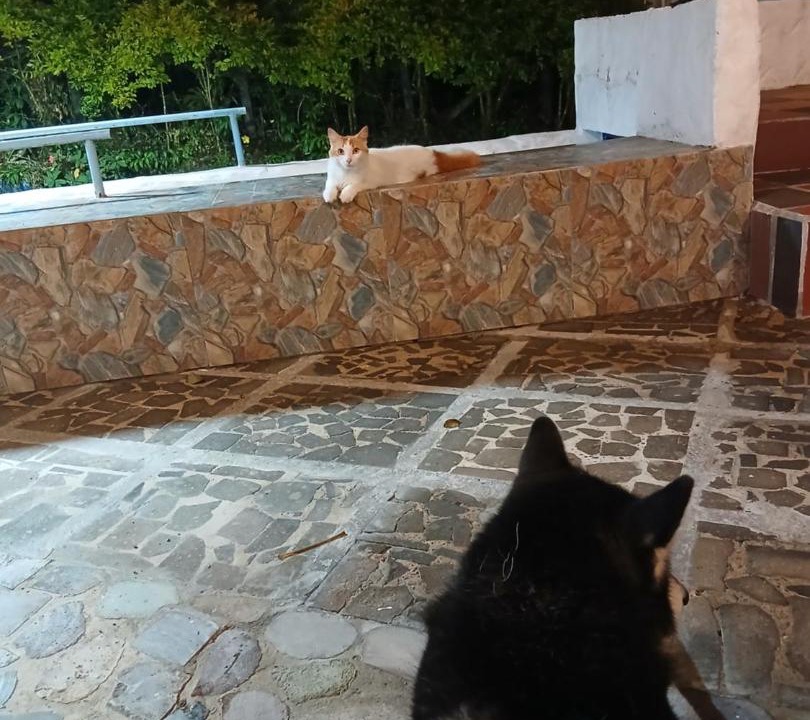 Photo of Others in Jardin