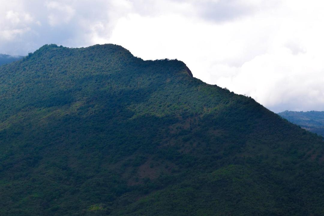 Photo of Others in Chinauta