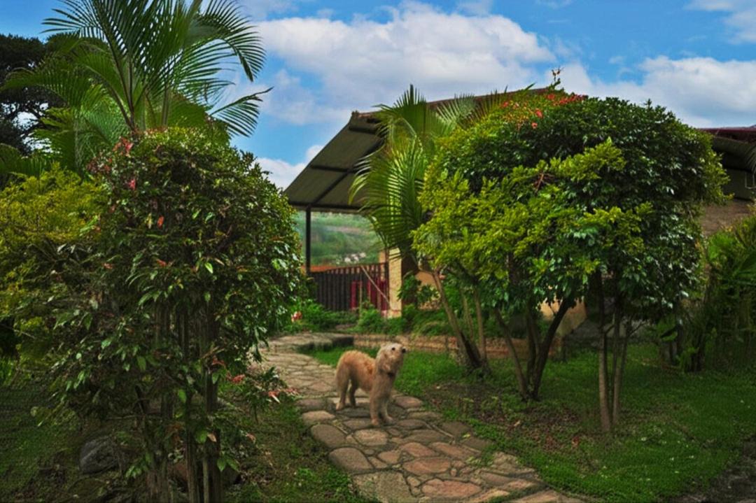 Photo of Others in Macheta