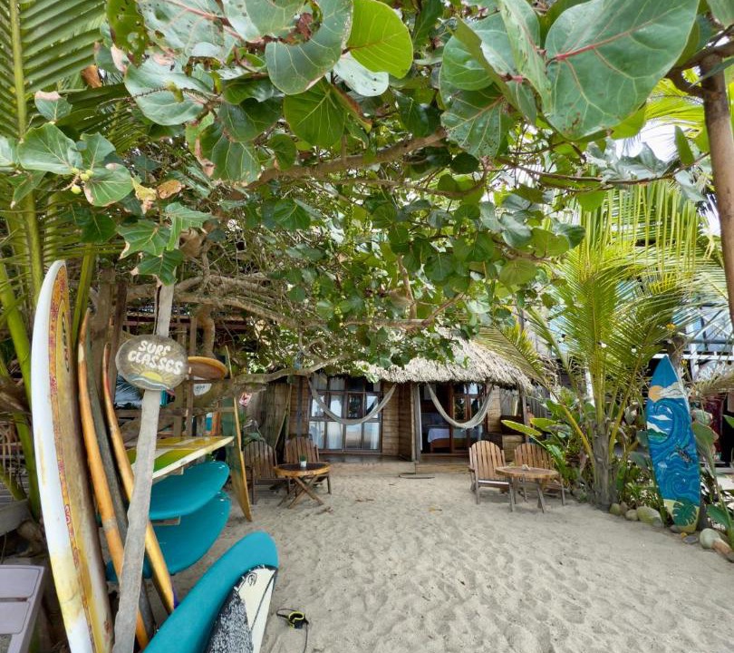 Photo of Others in Palomino