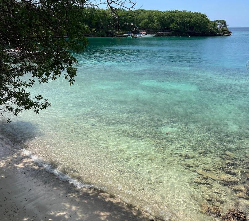 Photo of Others in Rosario Islands