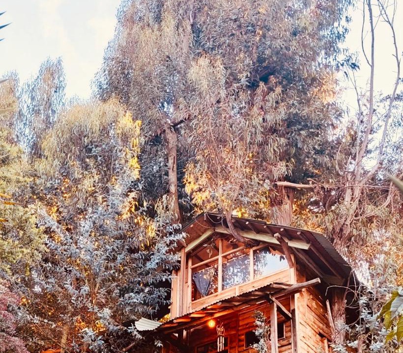 Photo of Others in Usaquen