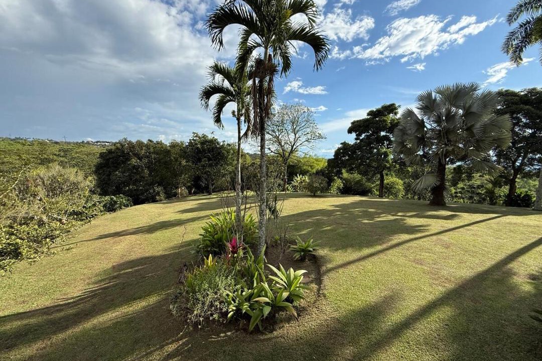 Photo of Others in Pereira