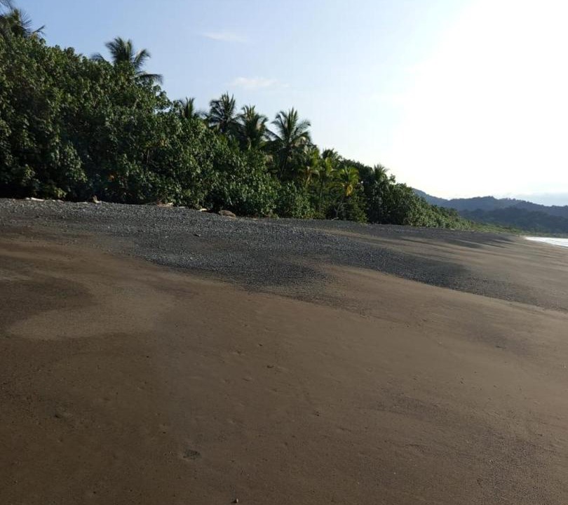 Photo of Others in Nuqui